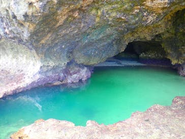 石垣島 ADVENTURE PiPi（イシガキジマアドベンチャーピピ）に投稿された画像（2022/5/31）