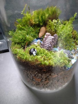 カルチャースクールいろはに投稿された画像（2022/5/31）