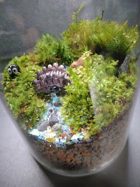 カルチャースクールいろはに投稿された画像（2022/5/31）