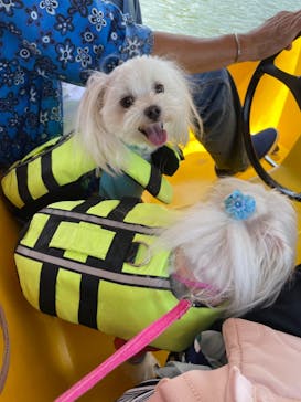 那須高原りんどう湖ファミリー牧場に投稿された画像（2022/5/31）