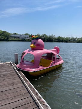 那須高原りんどう湖ファミリー牧場に投稿された画像（2022/5/31）