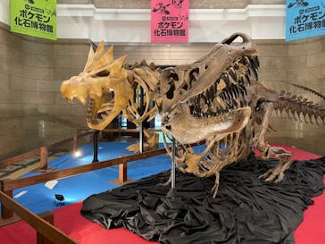 国立科学博物館　特別企画展「ポケモン化石博物館」に投稿された画像（2022/5/31）