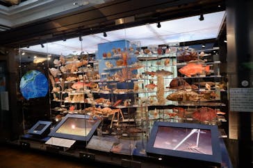 国立科学博物館に投稿された画像（2022/5/31）