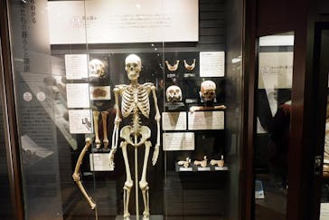 国立科学博物館に投稿された画像（2022/5/31）