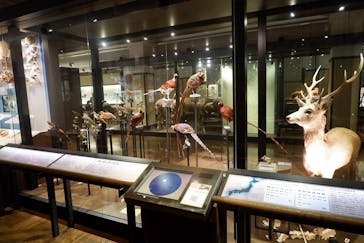 国立科学博物館に投稿された画像（2022/5/31）