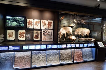 国立科学博物館に投稿された画像（2022/5/31）