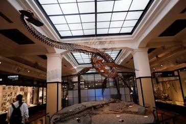 国立科学博物館に投稿された画像（2022/5/31）