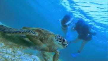 宮古島 ADVENTURE PiPi（ミヤコジマ アドベンチャー ピピ）に投稿された画像（2022/5/31）