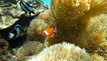 宮古島 ADVENTURE PiPi（ミヤコジマ アドベンチャー ピピ）に投稿された画像（2022/5/31）