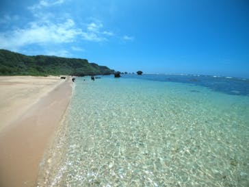 宮古島 ADVENTURE PiPi（ミヤコジマ アドベンチャー ピピ）に投稿された画像（2022/5/31）