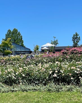 いばらきフラワーパークに投稿された画像（2022/5/31）