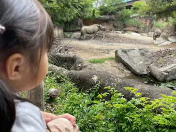 天王寺動物園に投稿された画像（2022/5/31）