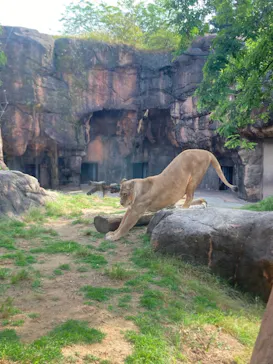 天王寺動物園に投稿された画像（2022/5/31）