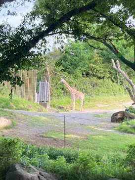 天王寺動物園に投稿された画像（2022/5/31）