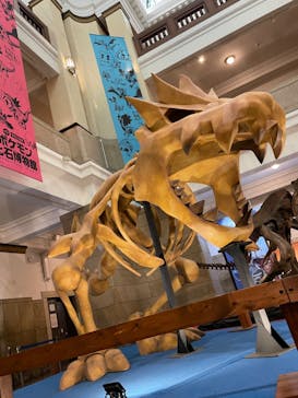 国立科学博物館　特別企画展「ポケモン化石博物館」に投稿された画像（2022/6/1）