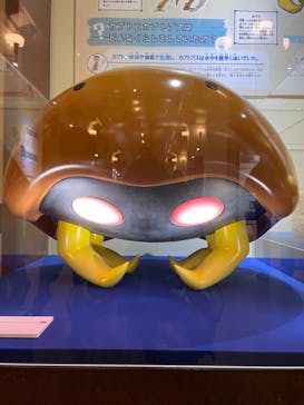 国立科学博物館　特別企画展「ポケモン化石博物館」に投稿された画像（2022/6/1）