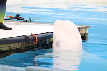 横浜・八景島シーパラダイスに投稿された画像（2022/6/1）