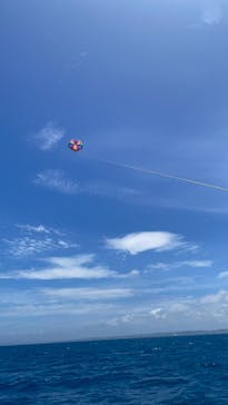 Sea World（シーワールド）に投稿された画像（2022/6/1）