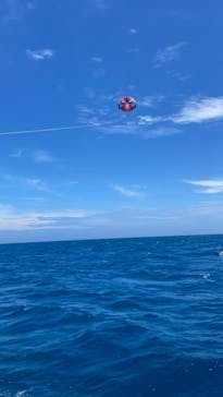 Sea World（シーワールド）に投稿された画像（2022/6/1）