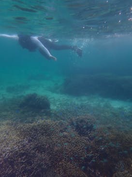 宮古島 ADVENTURE PiPi（ミヤコジマ アドベンチャー ピピ）に投稿された画像（2022/6/1）