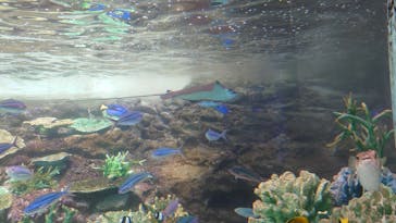 名古屋港水族館に投稿された画像（2022/6/2）