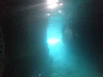 武藤潜水に投稿された画像（2022/6/2）