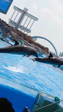 名古屋港水族館に投稿された画像（2022/6/2）