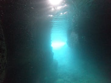 武藤潜水に投稿された画像（2022/6/2）