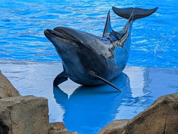 名古屋港水族館に投稿された画像（2022/6/2）