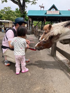 まかいの牧場に投稿された画像（2022/6/2）