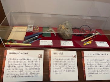 国立科学博物館　特別企画展「ポケモン化石博物館」に投稿された画像（2022/6/2）