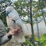 神戸どうぶつ王国に投稿された画像（2022/6/2）