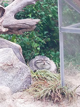 神戸どうぶつ王国に投稿された画像（2022/6/2）