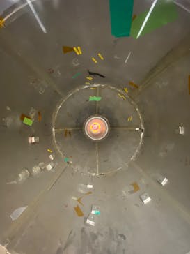 国立科学博物館に投稿された画像（2022/6/2）