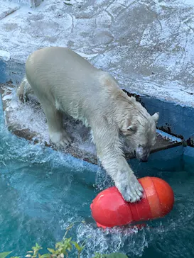天王寺動物園に投稿された画像（2022/6/2）