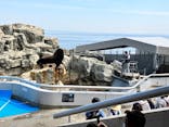 大分マリーンパレス水族館 「うみたまご」に投稿された画像（2022/6/2）