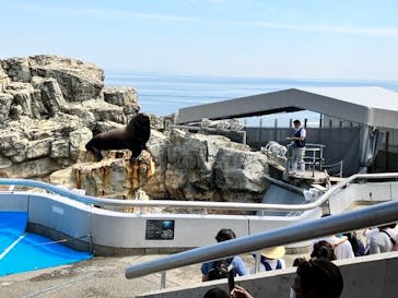 大分マリーンパレス水族館 「うみたまご」に投稿された画像（2022/6/2）