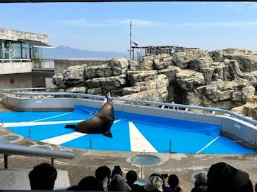 大分マリーンパレス水族館 「うみたまご」に投稿された画像（2022/6/2）