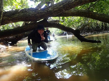 西表島 ADVENTURE PiPi（アドベンチャーピピ）に投稿された画像（2022/6/2）