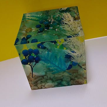 ずこうしつ〜sugamo〜に投稿された画像（2022/6/2）