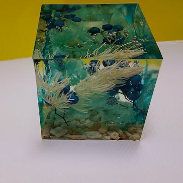 ずこうしつ〜sugamo〜に投稿された画像（2022/6/2）