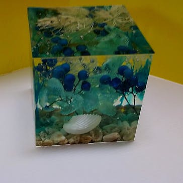 ずこうしつ〜sugamo〜に投稿された画像（2022/6/2）