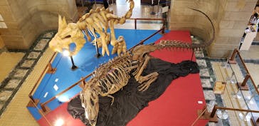 国立科学博物館　特別企画展「ポケモン化石博物館」に投稿された画像（2022/6/2）