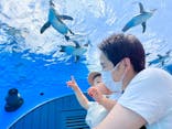 サンシャイン水族館に投稿された画像（2022/6/3）