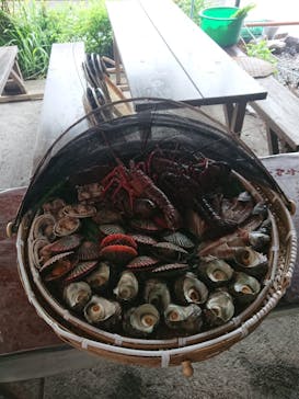 海女小屋はちまんかまどに投稿された画像（2022/6/3）