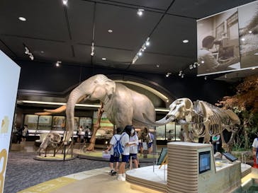 滋賀県立琵琶湖博物館に投稿された画像（2022/6/3）