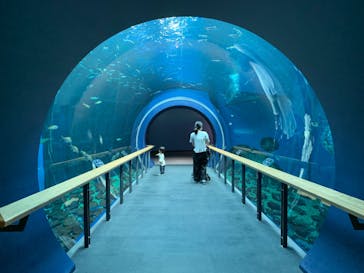 滋賀県立琵琶湖博物館に投稿された画像（2022/6/3）