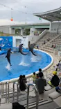 仙台うみの杜水族館に投稿された画像（2022/6/3）
