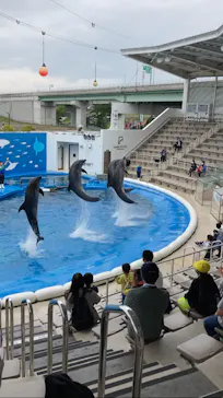 仙台うみの杜水族館に投稿された画像（2022/6/3）