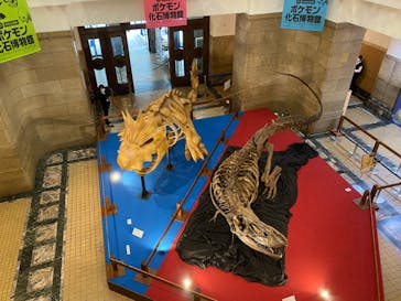 国立科学博物館　特別企画展「ポケモン化石博物館」に投稿された画像（2022/6/3）